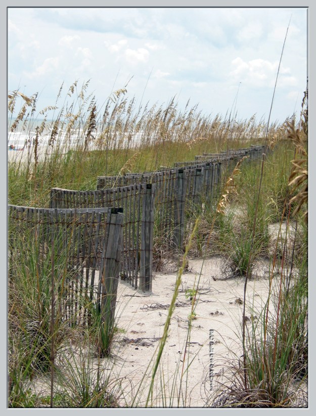 Relationship fence @ the sea
