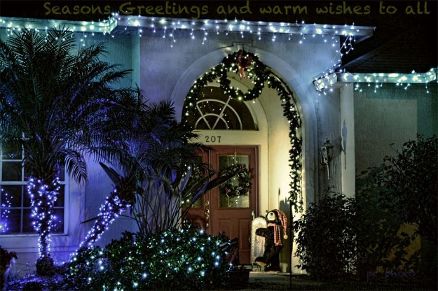 the Teddy Bear SEASONS GREETINGS****