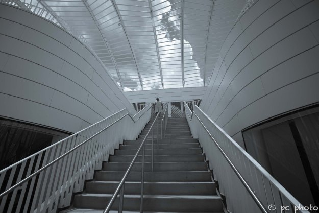 Going up Fl Polytech-94