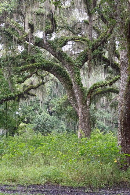 waiting for the rain to stop-0227