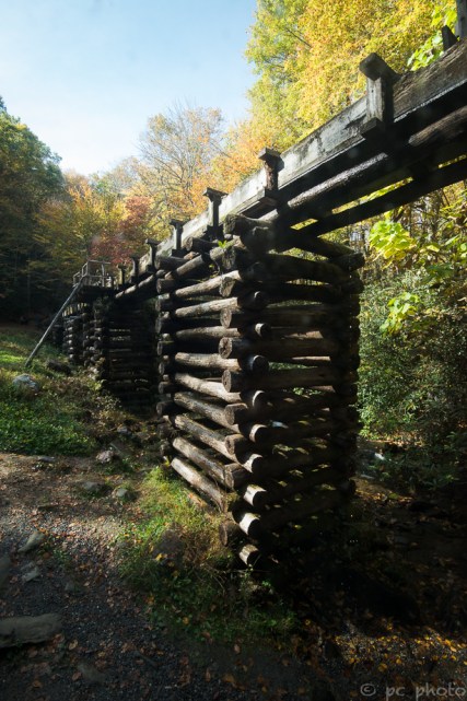 4-mill-looking-out-the-window-5784